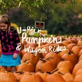 Rulfs Orchard photo