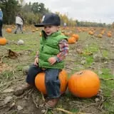 Rulfs Orchard photo