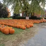 Rulfs Orchard photo