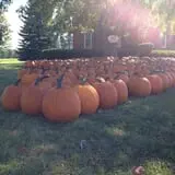 Rulfs Orchard photo
