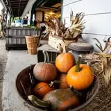 Rulfs Orchard photo
