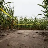 Rulfs Orchard photo