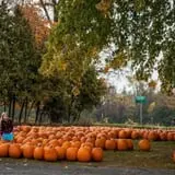 Rulfs Orchard photo