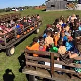 Two Sisters Pumpkin Patch photo