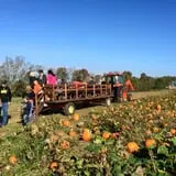 Two Sisters Pumpkin Patch photo