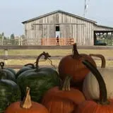 Two Sisters Pumpkin Patch photo