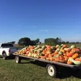 Two Sisters Pumpkin Patch photo