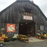Two Sisters Pumpkin Patch photo