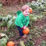 Two Sisters Pumpkin Patch photo