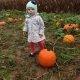 Two Sisters Pumpkin Patch photo