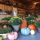 Two Sisters Pumpkin Patch photo