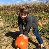 Two Sisters Pumpkin Patch photo
