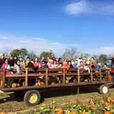 Two Sisters Pumpkin Patch photo