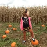 Two Sisters Pumpkin Patch photo