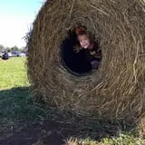 Two Sisters Pumpkin Patch photo