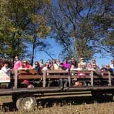 Two Sisters Pumpkin Patch photo