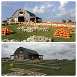 Two Sisters Pumpkin Patch photo