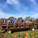 Two Sisters Pumpkin Patch photo