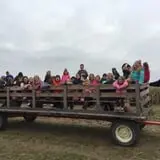Two Sisters Pumpkin Patch photo
