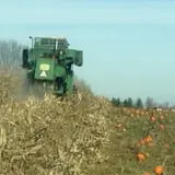 Two Sisters Pumpkin Patch photo