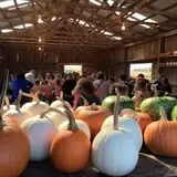 Two Sisters Pumpkin Patch photo