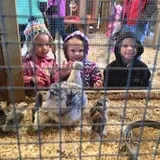 Two Sisters Pumpkin Patch photo