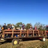 Two Sisters Pumpkin Patch photo
