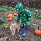 Two Sisters Pumpkin Patch photo