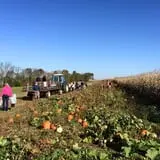 Two Sisters Pumpkin Patch photo