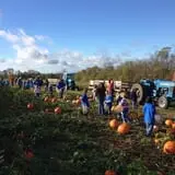 Two Sisters Pumpkin Patch photo