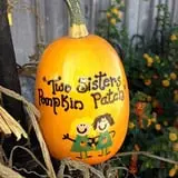 Two Sisters Pumpkin Patch photo