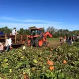 Two Sisters Pumpkin Patch photo