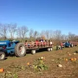 Two Sisters Pumpkin Patch photo