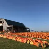 Two Sisters Pumpkin Patch photo