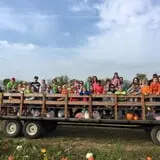 Two Sisters Pumpkin Patch photo