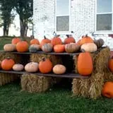 Mulberry Pond Pumpkin Patch photo