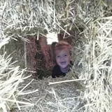 Mulberry Pond Pumpkin Patch photo
