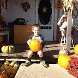 Mulberry Pond Pumpkin Patch photo