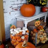 Mulberry Pond Pumpkin Patch photo