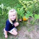 Mulberry Pond Pumpkin Patch photo