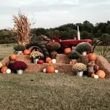 Mulberry Pond Pumpkin Patch photo