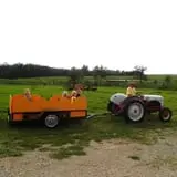 Mulberry Pond Pumpkin Patch photo