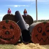 Mulberry Pond Pumpkin Patch photo