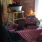 Mulberry Pond Pumpkin Patch photo