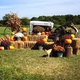 Mulberry Pond Pumpkin Patch photo