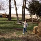Mulberry Pond Pumpkin Patch photo