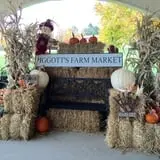 Piggott's Farm Market photo