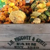 Piggott's Farm Market photo