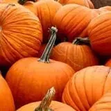 Piggott's Farm Market photo