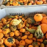 Piggott's Farm Market photo